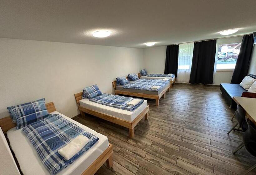 סטודיו משפחתי, Swiss Chalet Holidays Ringgenberg