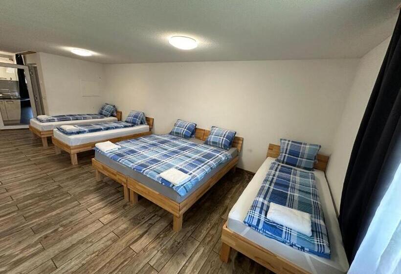 סטודיו משפחתי, Swiss Chalet Holidays Ringgenberg