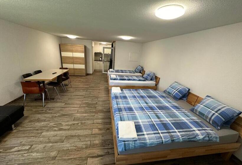 סטודיו משפחתי, Swiss Chalet Holidays Ringgenberg