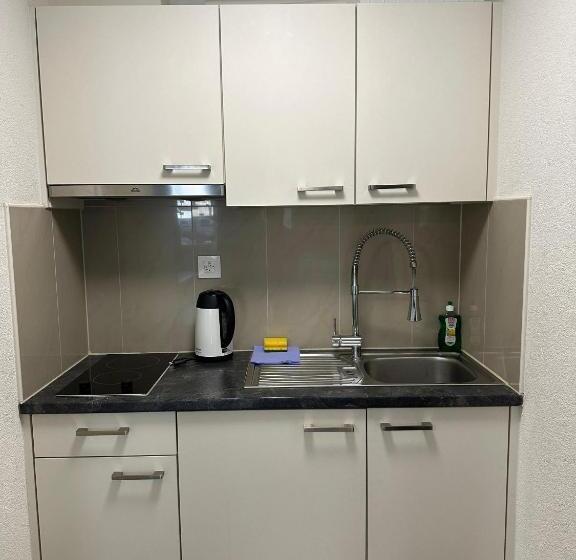 סטודיו משפחתי, Swiss Chalet Holidays Ringgenberg