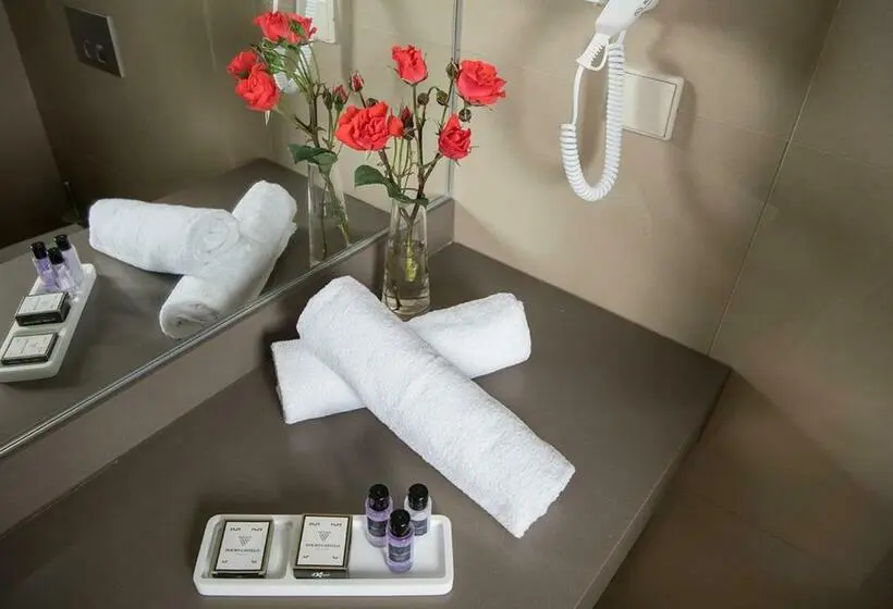 スタンダードルーム, Douro Castelo Signature Hotel & Spa