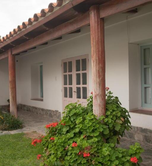 四人标准间, Tampu