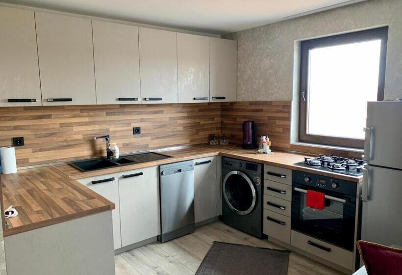 침실 1개 발코니 아파트, Grand Altunhan