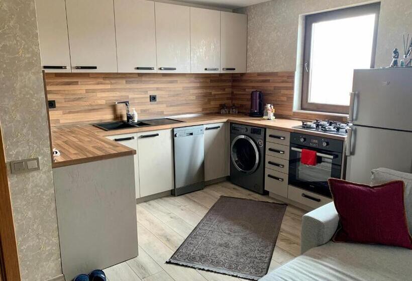 침실 1개 발코니 아파트, Grand Altunhan