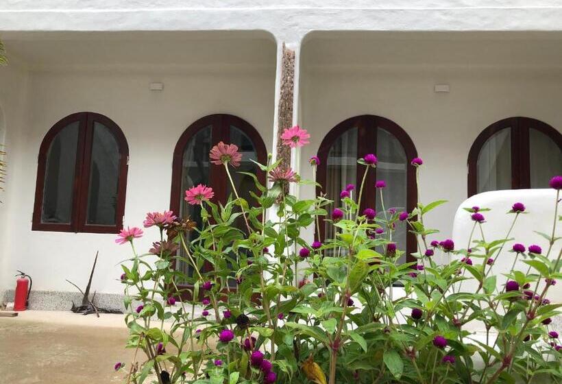 اتاق استاندارد با تخت بزرگ, Saocondor