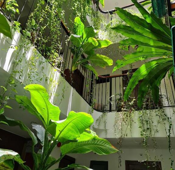 اتاق لوکس سه تخته, Nicobar Con Dao