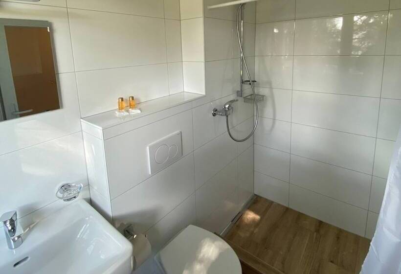 Номер Superior, Motel Des Fleurs