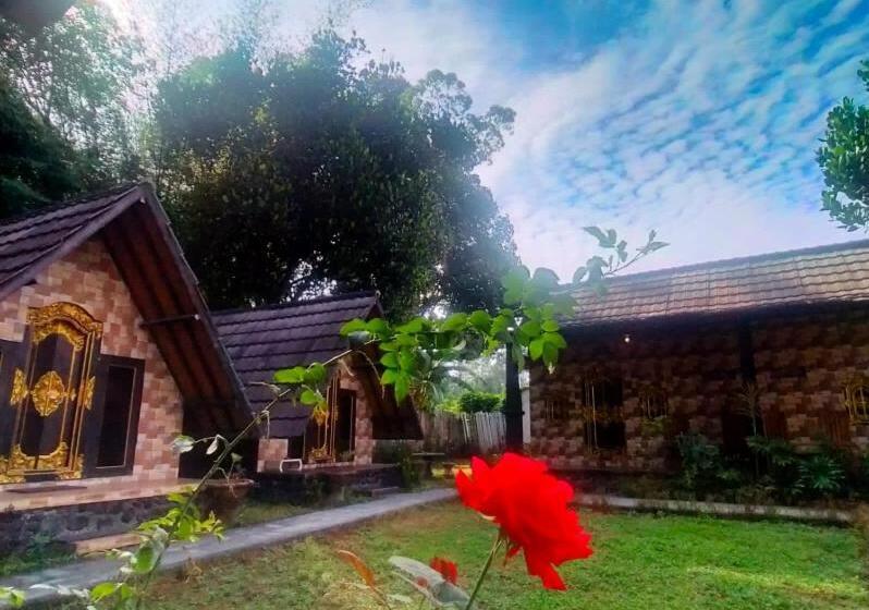 חדר סטנדרט, Zelobi Venture