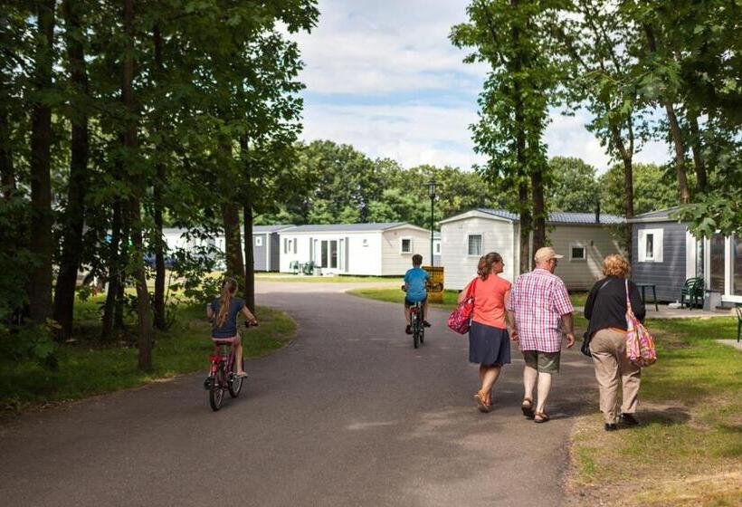 דירת שני חדרים, Hh Laambeek Mobile Home