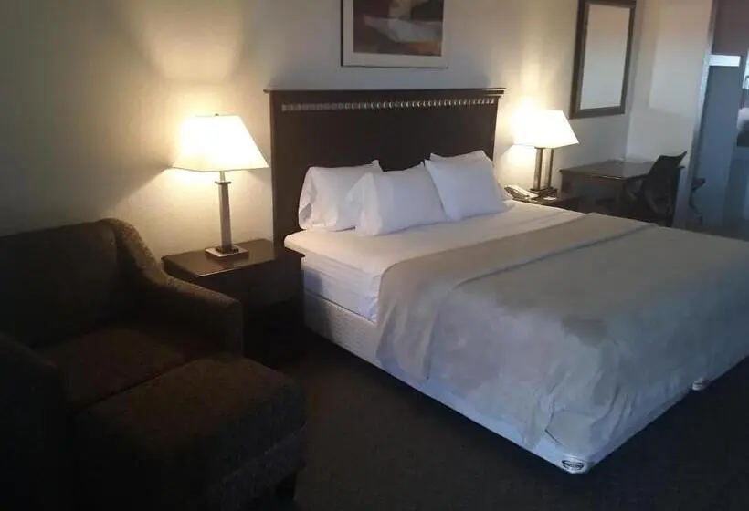 キングサイドベッドのスタンダードワンルーム, Italy Inn