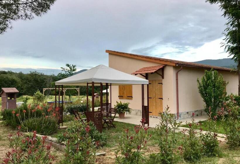 Апартаменты Superior 1 Спальня, Agriturismo Poggio Tondo