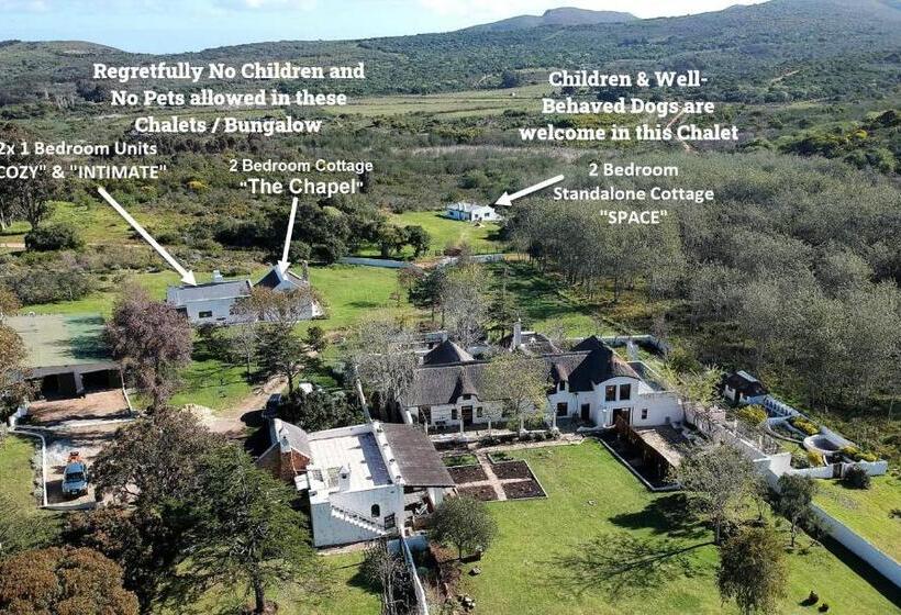 بنجلو قياسى, Berg N Dal Heritage Farm