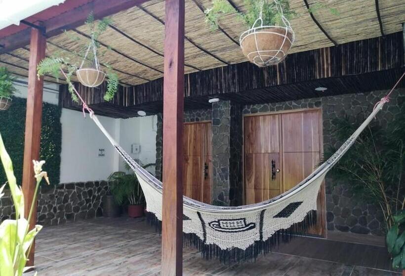 סוויטת ג'וניור, Malibu