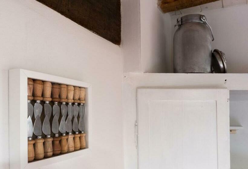 标准间, Borgodieci