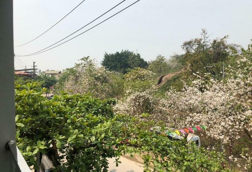 اتاق اکونومی, Nhà Nghỉ Tâm Cường