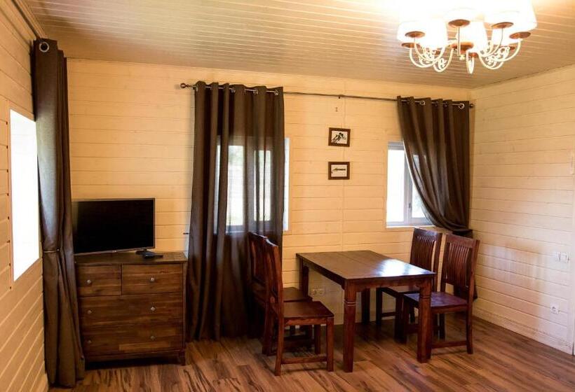 Appartement met 1 Slaapkamer met Terras, дальний кордон