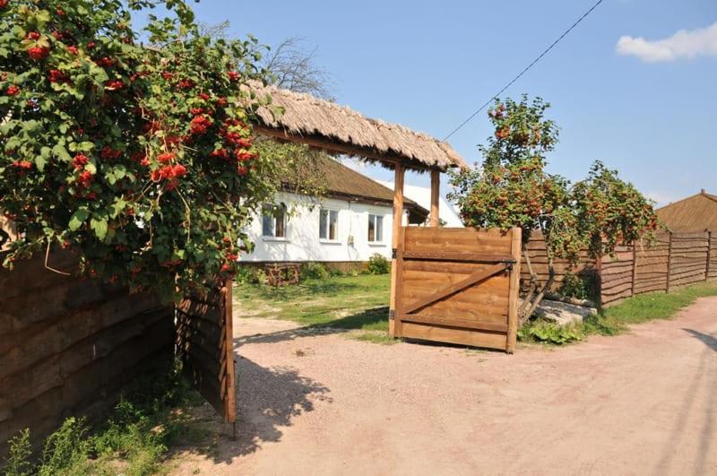 Economy Kamer, дальний кордон