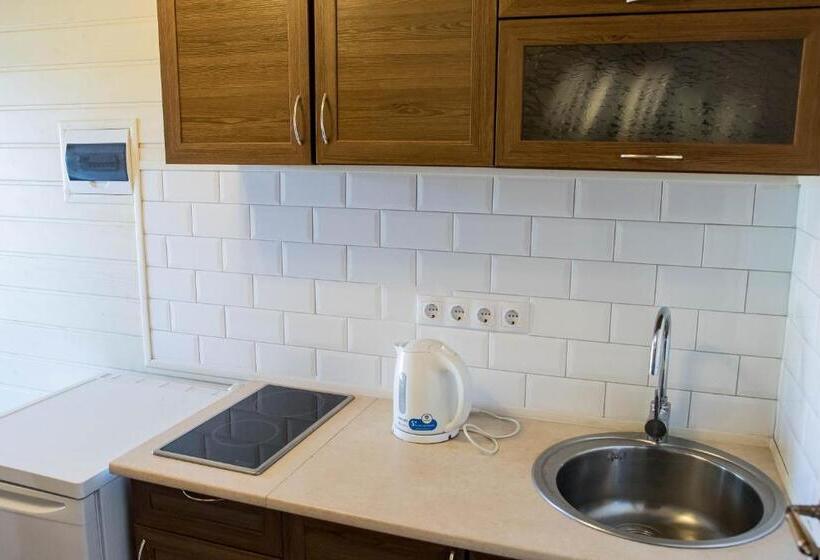 Appartement met 1 Slaapkamer met Terras, дальний кордон