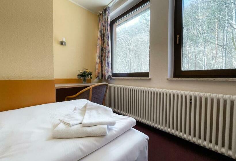 اتاق استاندارد یک نفره, Aktiv Hotel Stock & Stein