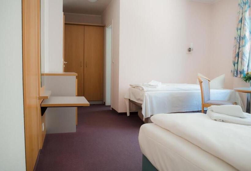 اتاق استاندارد سه نفره, Aktiv Hotel Stock & Stein