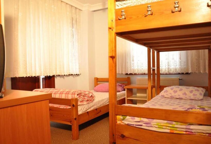 Апартаменты 1 Спальня с Видом, Mekan Ilica Apart Otel