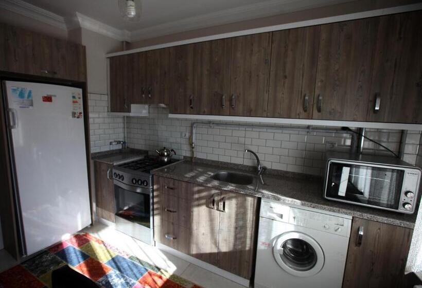 شقة غرفة واحدة ذات إطلالة, Mekan Ilica Apart Otel