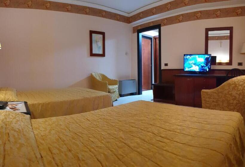 غرفة قياسية فردية, Palahotel Vallenoce