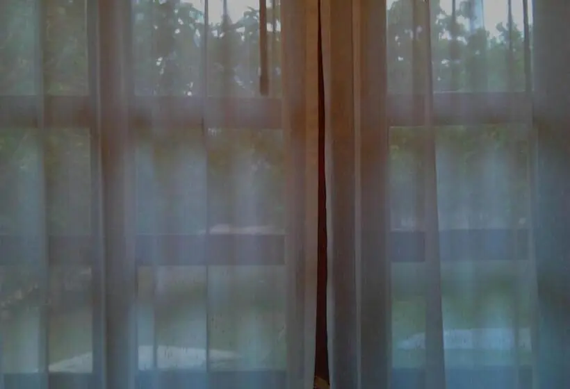 庭の見えるシングルルーム, Bed & Breakfast Chiang Rai