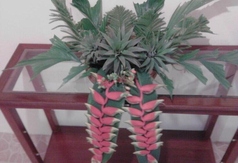 غرفة فردية  مطلة على الحديقة, Bed & Breakfast Chiang Rai