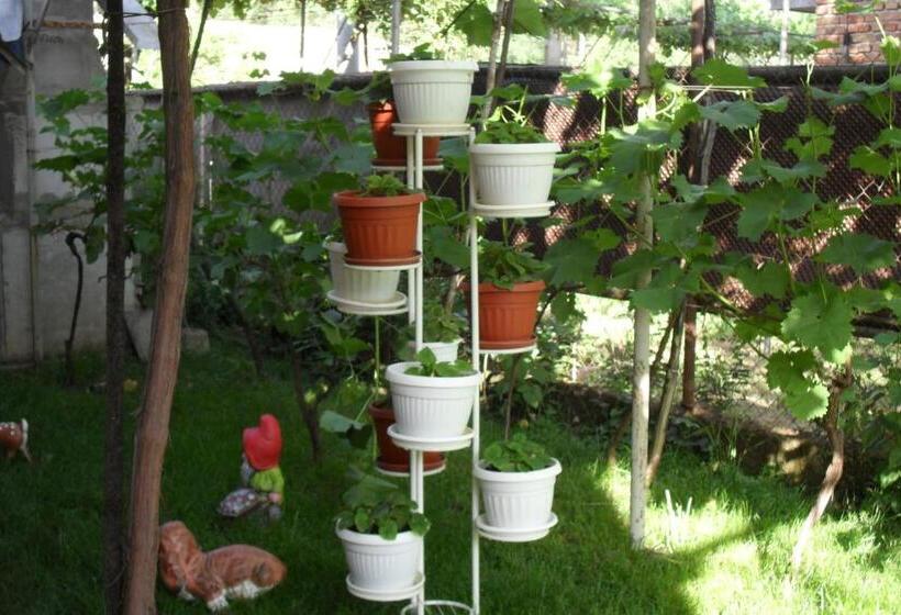 Номер Стандарт, Guest House Proynovi