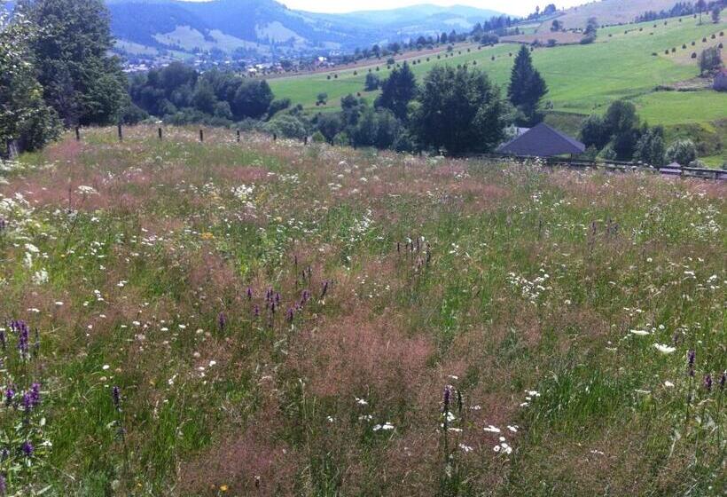 スタンダードルーム, Pension Valentina