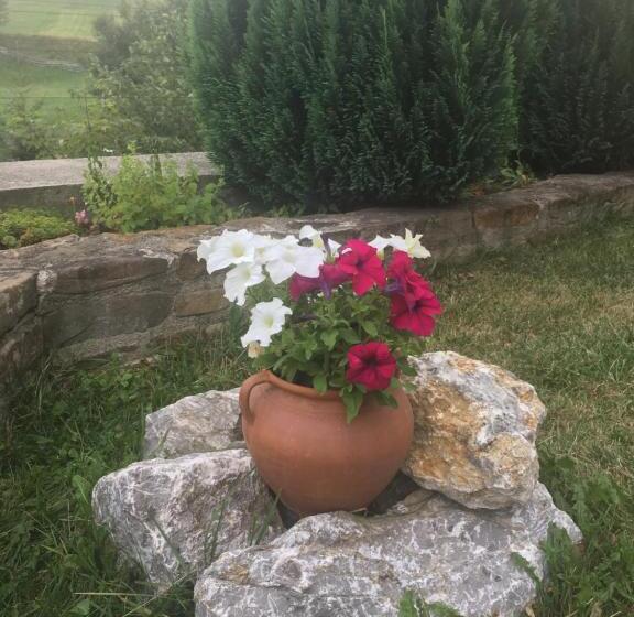 スタンダードルーム, Pension Valentina