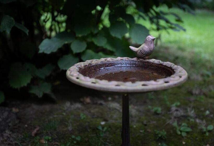 빌라 침실 1개, Villa Viridis Bükkalja