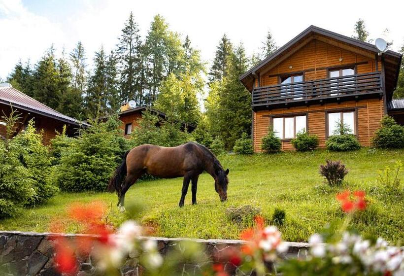 Apartament 3 Dormitoris, медовий двір