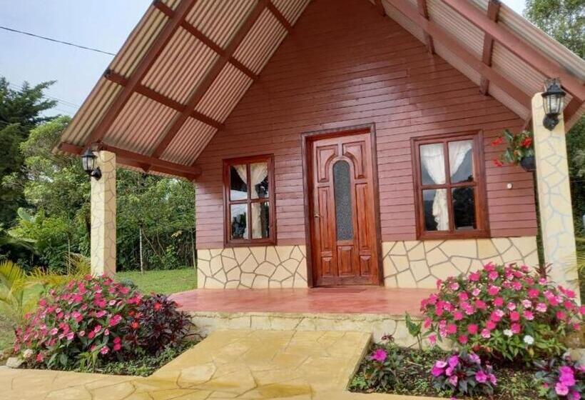 带2个双人床的标准工作室, Cabañas Camino Real