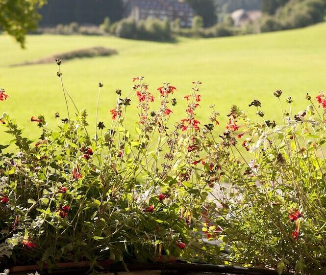 Chambre Triple Standard, Etoile Des Neiges Piscine Spa Sauna