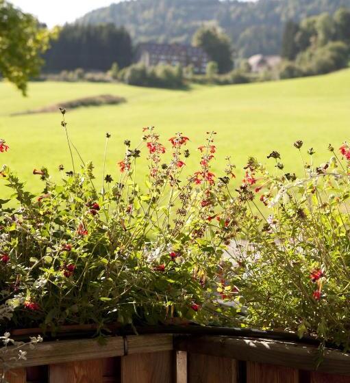 Chambre Triple Standard, Etoile Des Neiges Piscine Spa Sauna