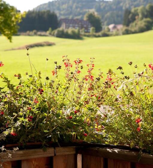 Junior Suite Familiale, Etoile Des Neiges Piscine Spa Sauna