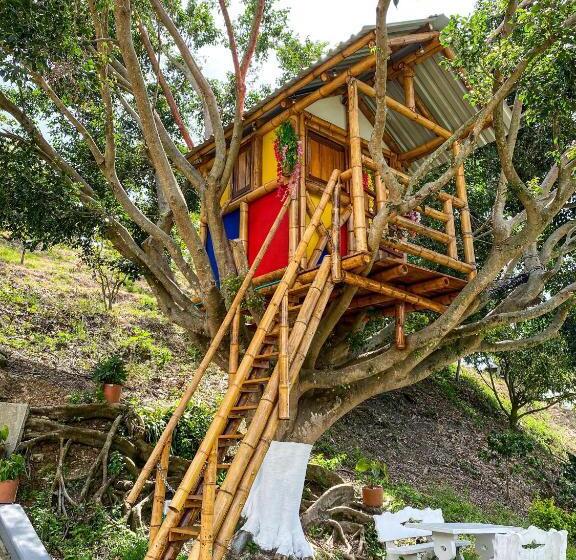 חדר סטנדרט, Campestre La María Toro Valle