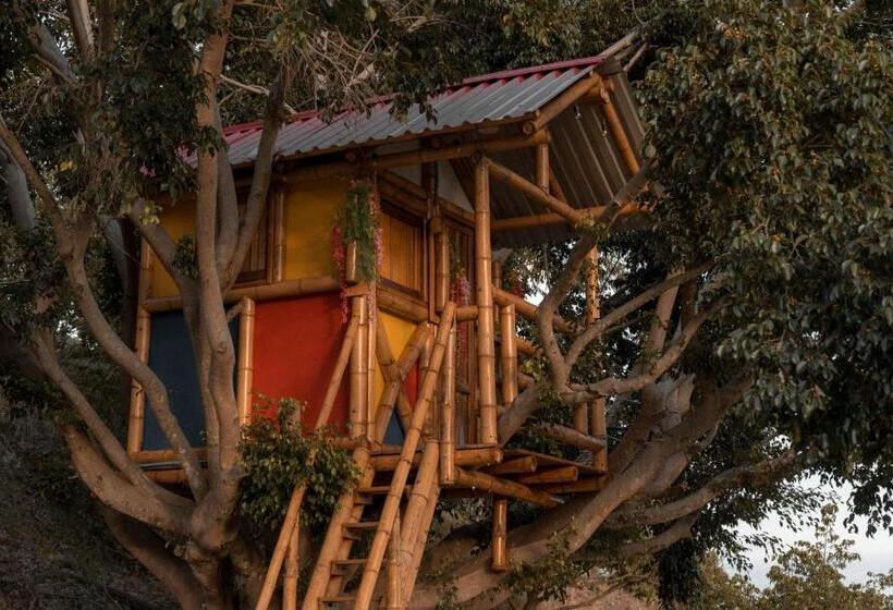 标准间, Campestre La María Toro Valle
