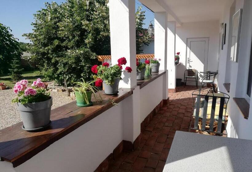 Номер Стандарт, Casa Ago Guest House