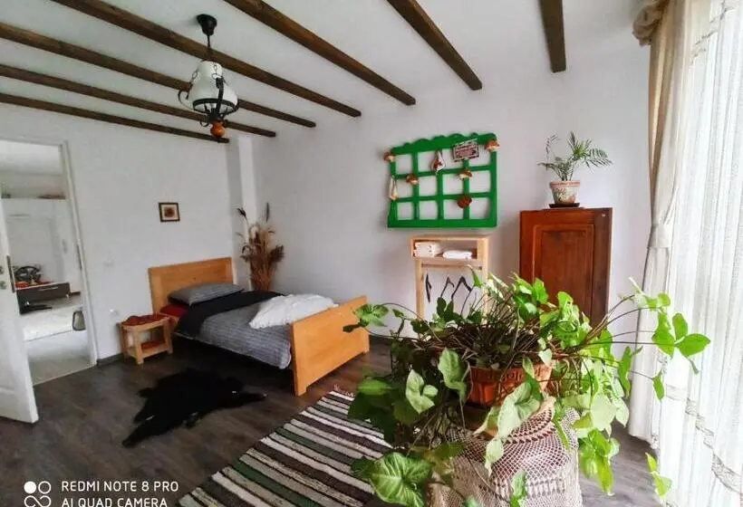 バスルーム共有のトリプルスタンダード, Casa Lucia