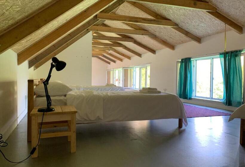 带观景的标准工作室, Gomkers Guest House