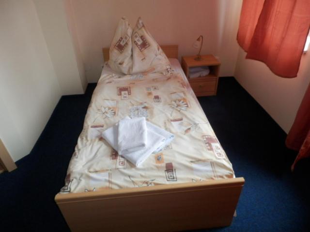 غرفة قياسية فردية مزودة بشُرفة, Penzion U Zámku