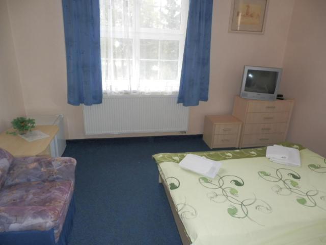 غرفة قياسية, Penzion U Zámku