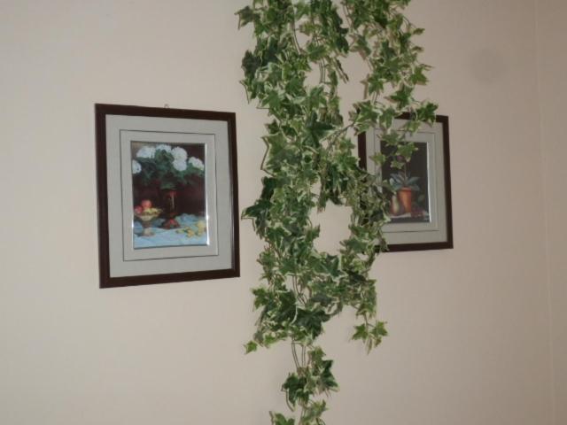 غرفة قياسية مطلّة علي الحديقة, Penzion U Zámku