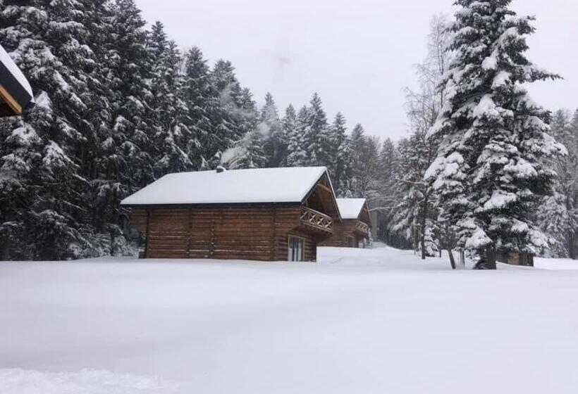 Дом 3 Спальни, Saltzbork