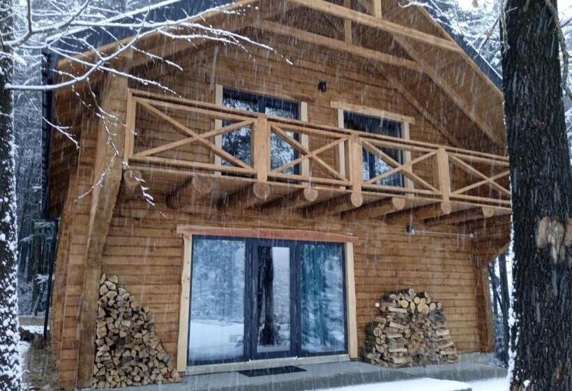 1ベッドルームハウス, Saltzbork