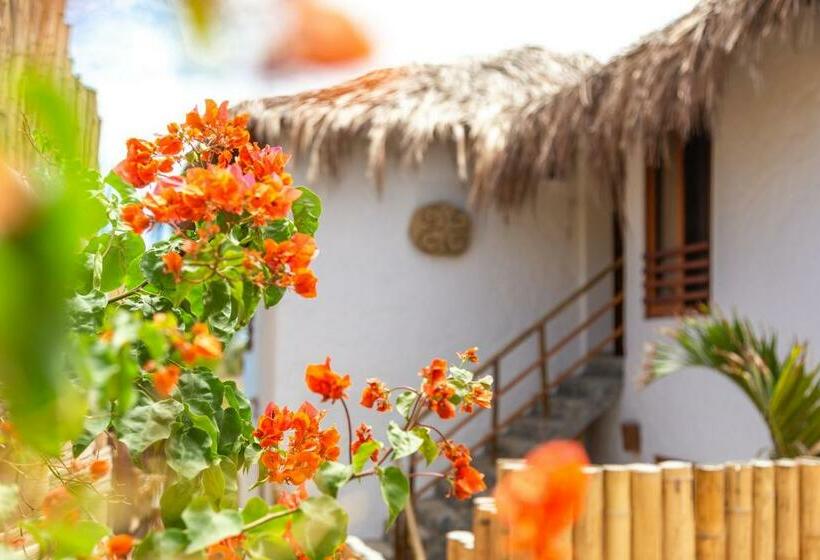 غرفة قياسية رباعية, Alas Y Arena