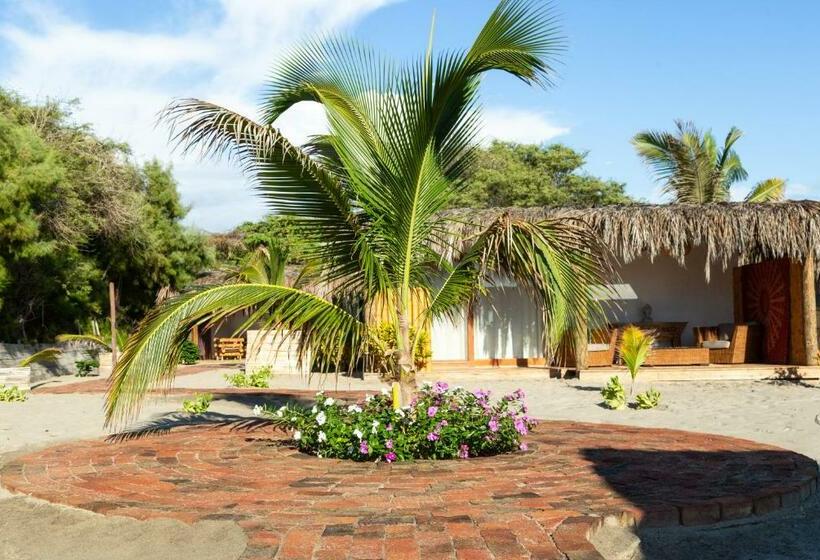 غرفة ديلوكس, Alas Y Arena